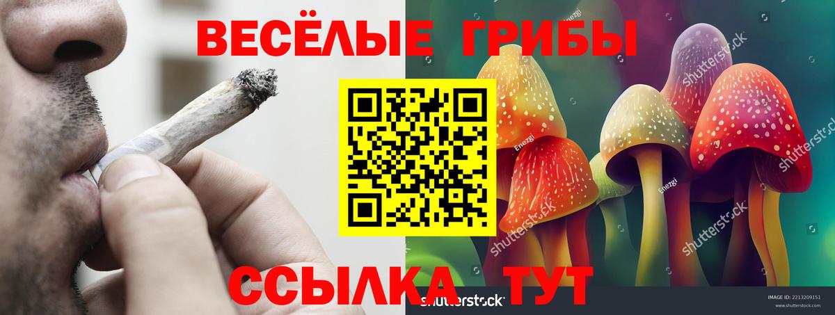 Галлюциногенные грибы MAGIC MUSHROOMS  Заринск  Галлюциногенные грибы MAGIC MUSHROOMS 