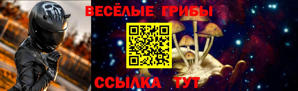 Заринск  Мяу-Мяу  Вход с VPN  Ешки  МЕФ  МАРИХУАНА  Альфа-ПВП  Гашик 